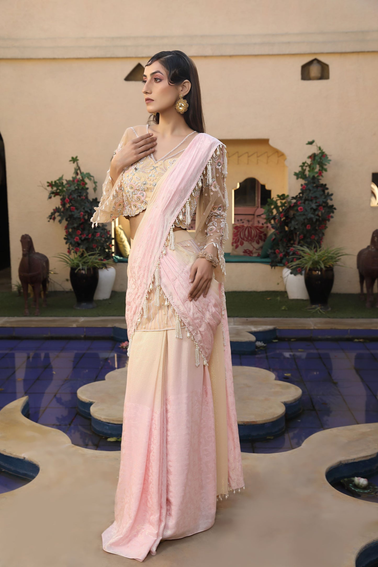 Radiant Dusk Saree 2pc Set